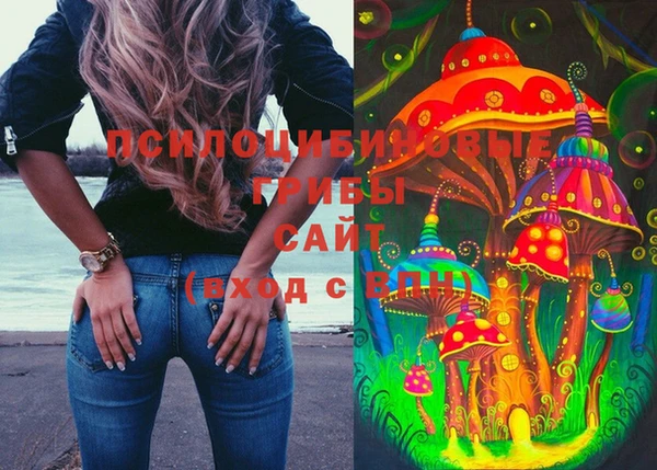 спайс Надым