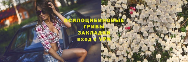 молекула духа Медвежьегорск