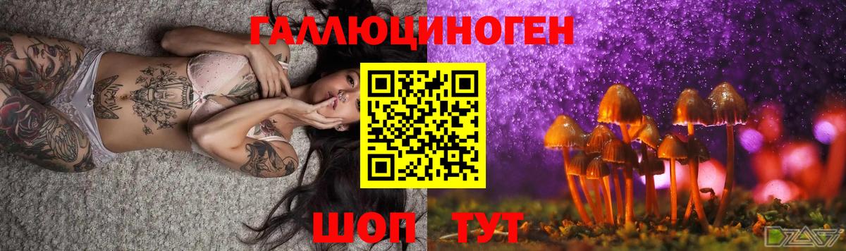 Псилоцибиновые грибы Psilocybe  Балашиха  Галлюциногенные грибы Psilocybine cubensis 